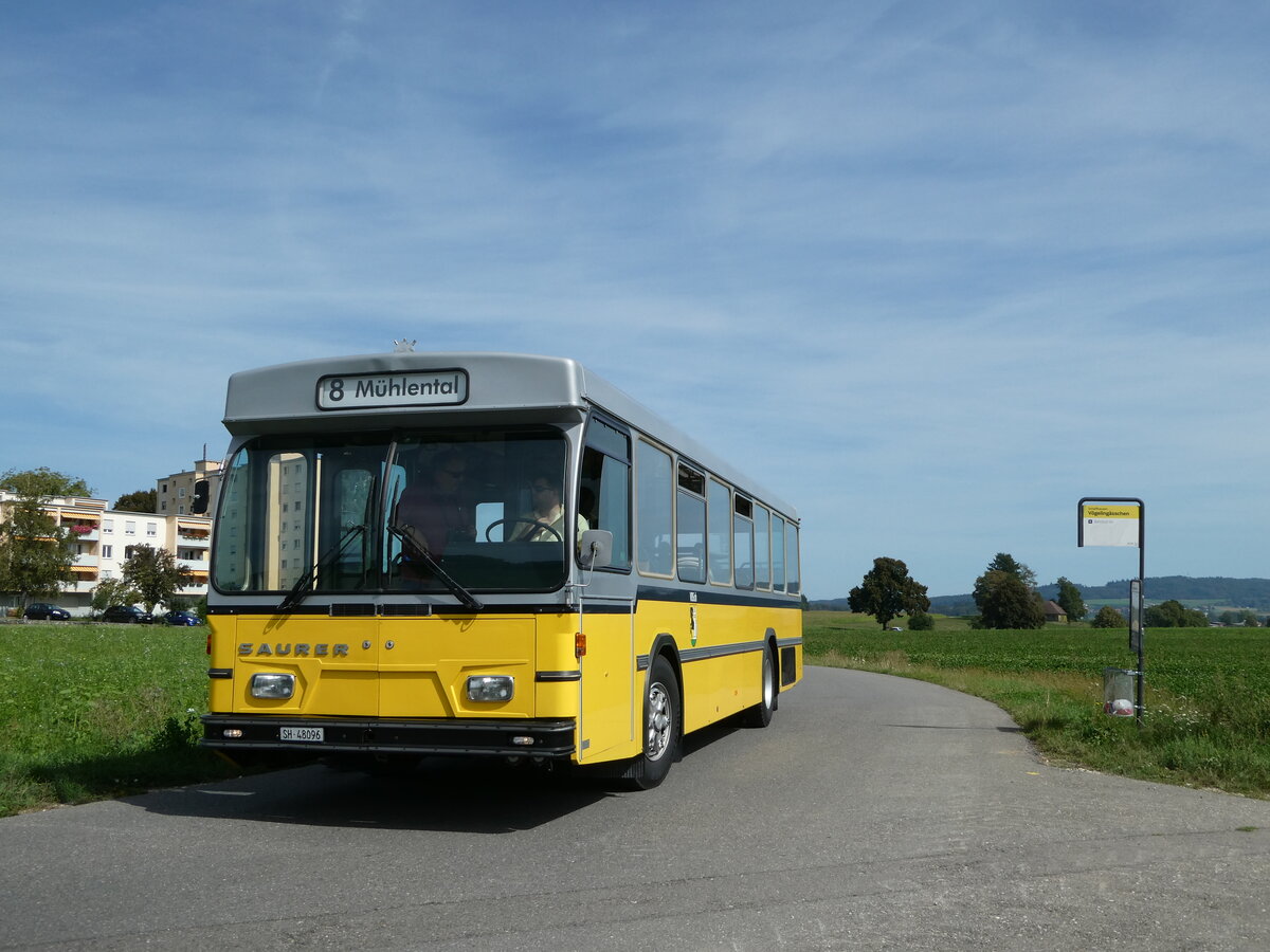 (255'329) - Wanner, Schleitheim - SH 48'096 - Saurer/Hess (ex Ruklic, Schaffhausen; ex VBSH Schaffhausen Nr. 40; ex VBSH Schaffhausen Nr. 19) am 17. September 2023 in Schaffhausen, Vgelingsschen