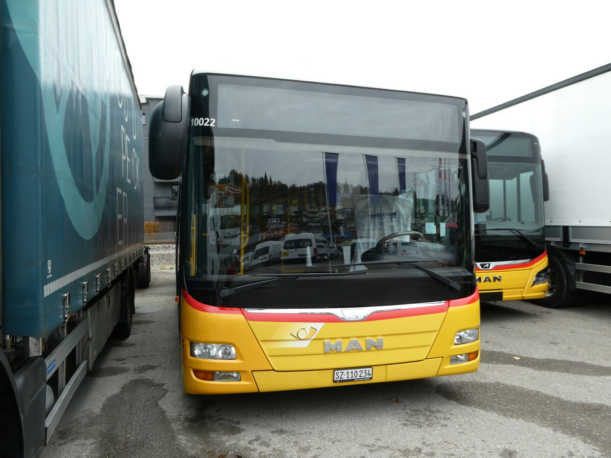 (257'092) - PostAuto Ostschweiz - SZ 110'234/PID 10'022 - MAN (ex Lienert&Ehrler, Einsiedeln; ex Schuler, Feusisberg) am 18. November 2023 in Schmerikon, Thomann