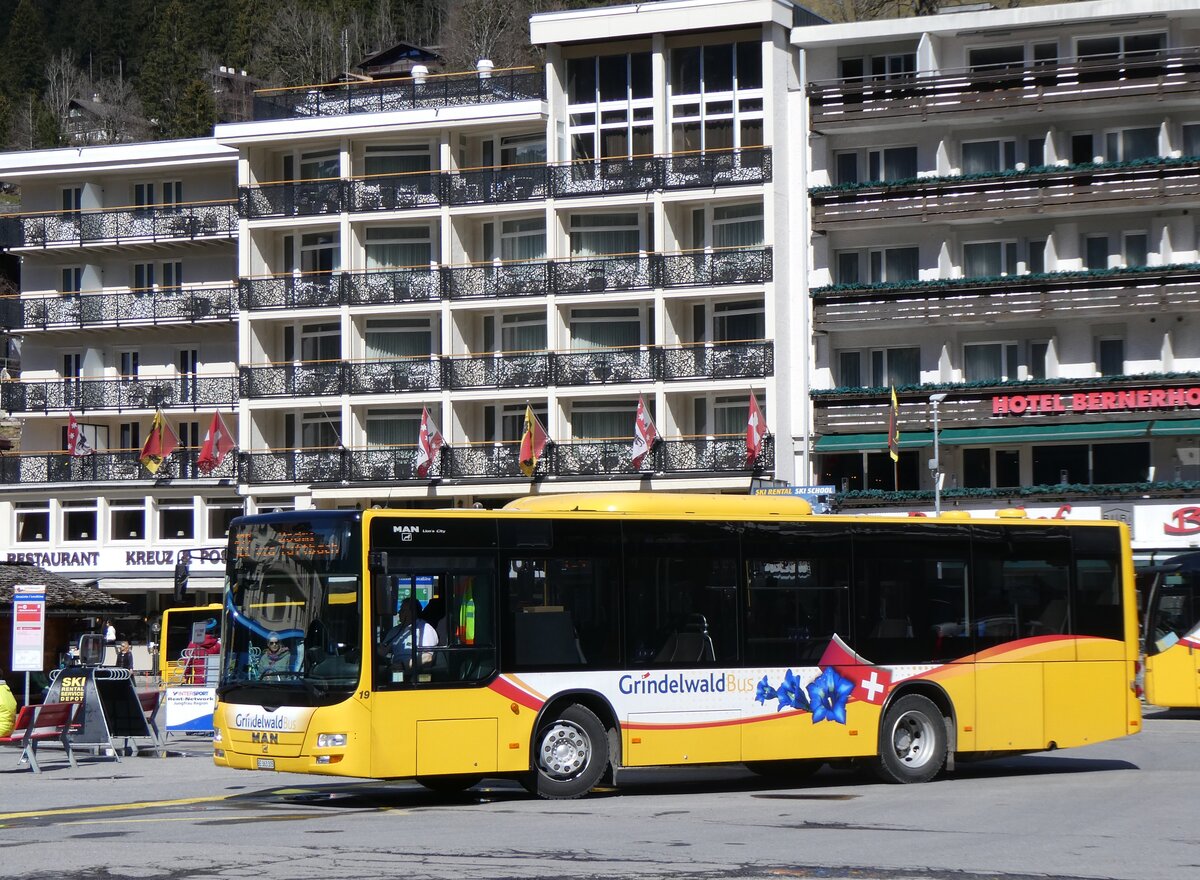 (260'539) - GrindelwaldBus, Grindelwald - Nr. 19/BE 363'305 - MAN/Gppel am 19. Mrz 2024 beim Bahnhof Grindelwald