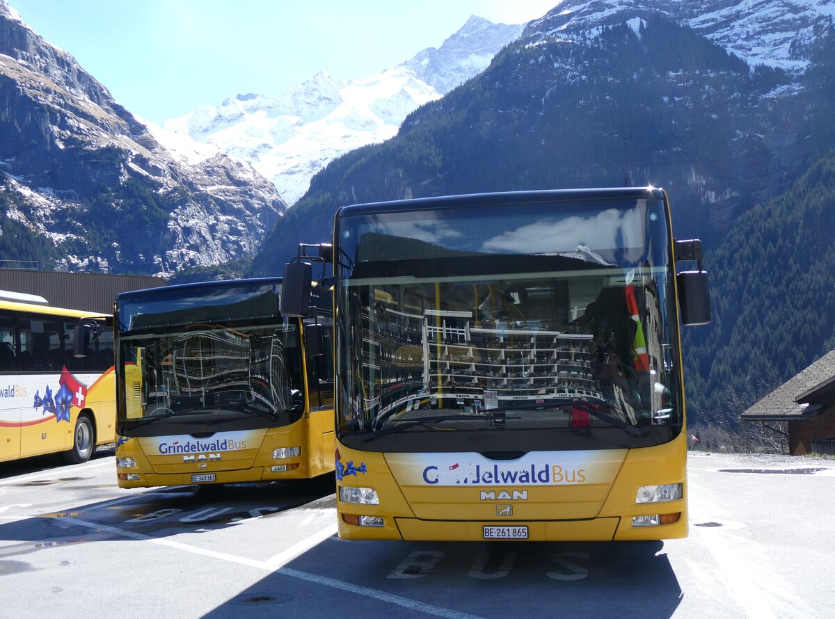 (260'553) - GrindelwaldBus, Grindelwald - Nr. 11/BE 261'865 - MAN/Gppel am 19. Mrz 2024 beim Bahnhof Grindelwald 