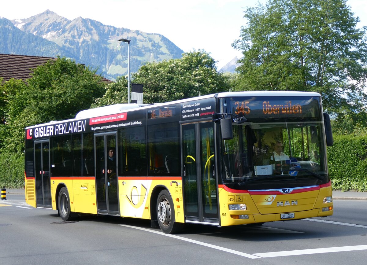 (262'482) - PostAuto Zentralschweiz - Nr. 501/OW 10'001/PID 10'265 - MAN (ex Nr. 9; ex Dillier, Sarnen Nr. 9) am 18. Mai 2024 in Sarnen, Brnigstrasse