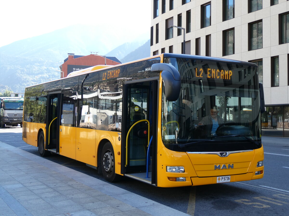 (267'272) - Coopalsa, Andorra la Vella - P5736 - MAN am 19. September 2024 in Andorra la Vella, Estaci Nacional Autobusos