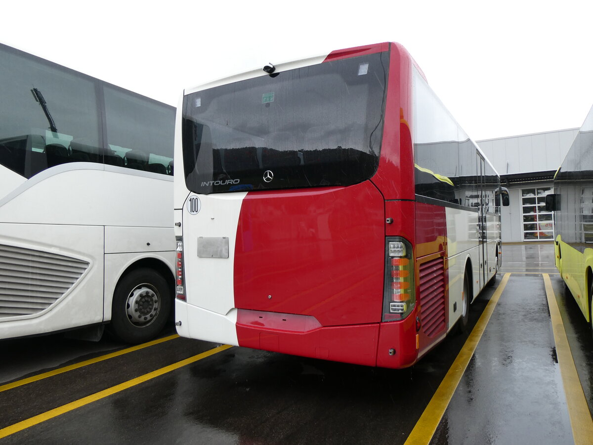 (267'580) - TPF Fribourg - (403'814) - Mercedes am 28. September 2024 in Winterthur, Daimler Buses