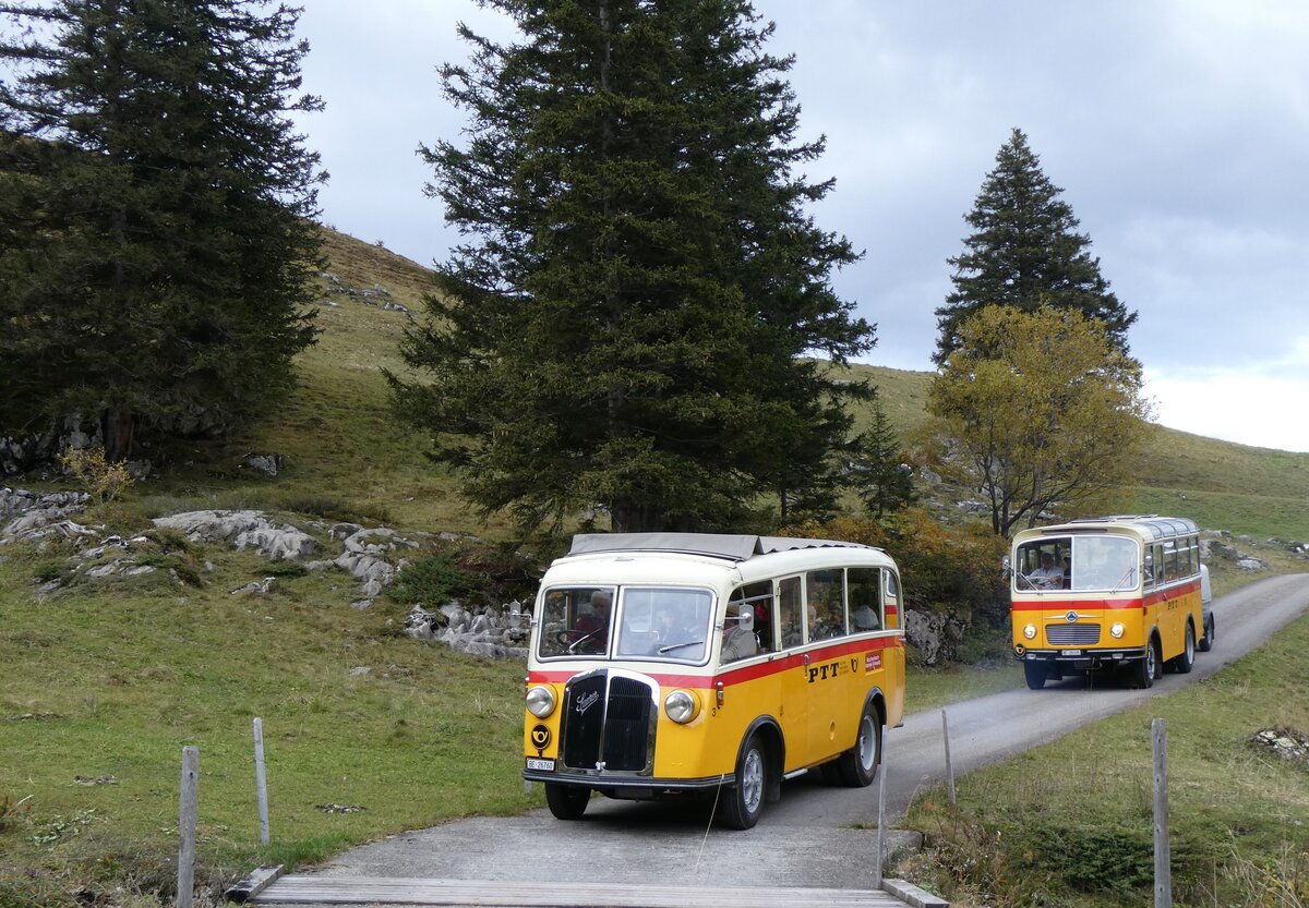 (268'121) - Schmid, Thrishaus - Nr. 3/BE 26'760 - Saurer/Gangloff (ex Geiger, Adelboden Nr. 3) + Nr. 9/BE 26'105 - Saurer/R&J (ex Geiger, Adelboden Nr. 9) am 12. Oktober 2024 bei der Bundalp