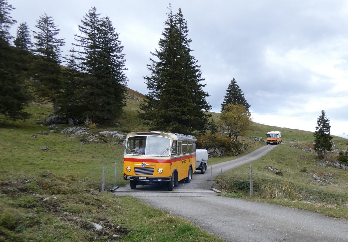 (268'123) - Schmid, Thrishaus - Nr. 9/BE 26'105 - Saurer/R&J (ex Geiger, Adelboden Nr. 9) am 12. Oktober 2024 bei der Bundalp