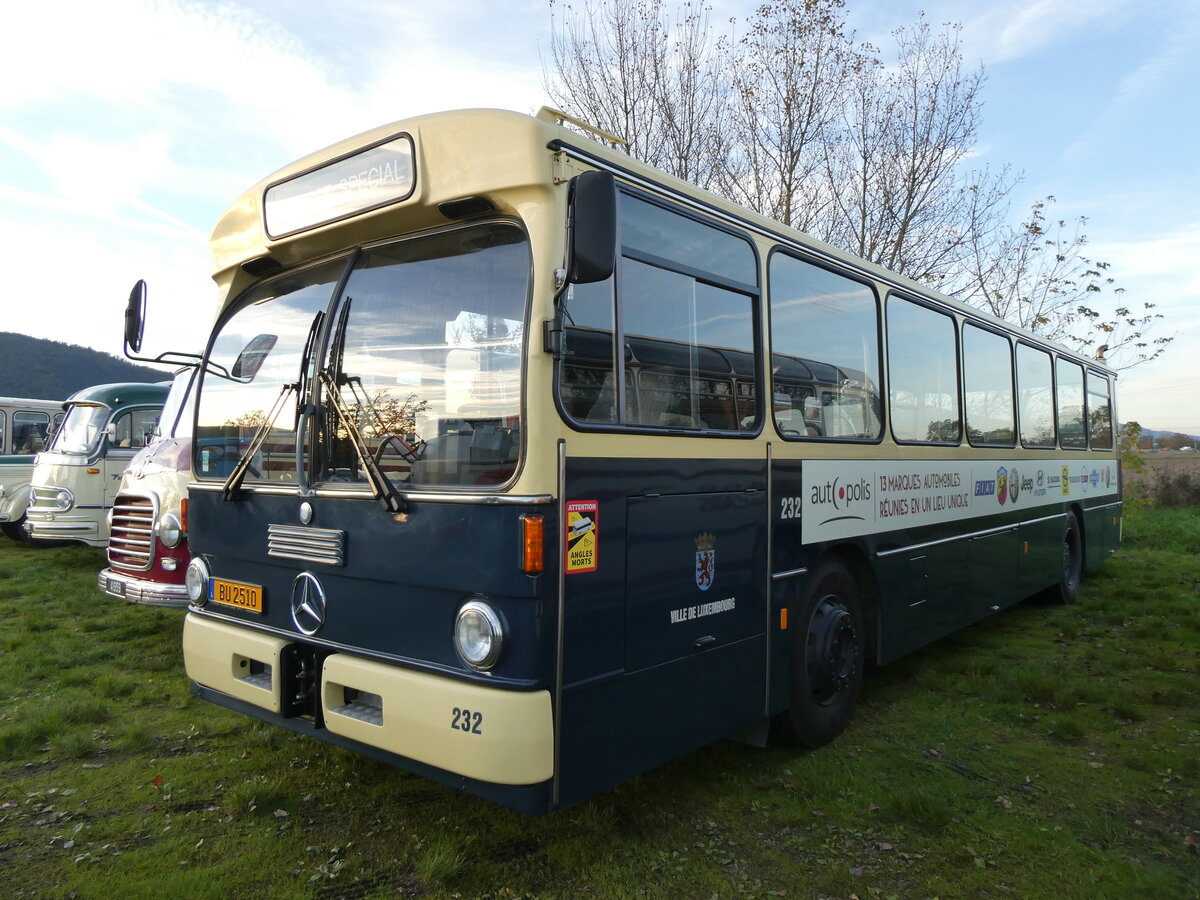 (268'469) - Aus Luxemburg: AVL Luxembourg (asbl) - Nr. 232/BU 2510 - Mercedes am 25. Oktober 2024 in Kintzheim, Cigoland