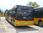 (205'421) - CarPostal Ouest - VD 495'042 - MAN am 25.