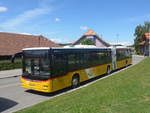 (219'028) - CarPostal Ouest - VD 566'342 - MAN am 25.