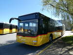 (234'745) - CarPostal Ouest - VD 495'031 - MAN am 18.