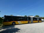 (235'583) - CarPostal Ouest - (JU 53'406) - MAN (ex Nr. 36) am 15. Mai 2022 in St-Blaise, Recam