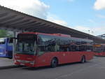 (194'101) - SBG Freiburg - FR-JS 834 - Iveco am 18.