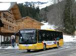 (246'250) - Grindelwaldbus, Grindelwald - Nr.