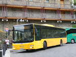 (267'196) - Coopalsa, Andorra la Vella - M6252 - MAN am 18.