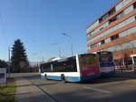 (176'959) - VBZ Zrich - Nr. 264/ZH 726'264 - Neoplan am 6. Dezember 2016 in Schlieren, Zentrum/Bahnhof