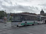 (204'672) - Ditterich, Helmstadt - W-P 2366 - Setra am 9.