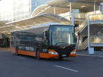 (190'507) - Bus Travel, Manukau - Nr.