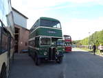 OTV 161  1954 AEC Regent III  Park Royal H30/26R  New to Nottingham, fleet number 161.