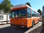 (155'180) - Sgura-Bus, Balerna - TI 257'950 - Saurer/Hess (ex AMSA Chiasso Nr.
