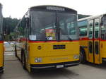 (184'335) - Amstein, Willisau - LU 90'909 U - Saurer/Tscher (ex Allemann, Niederbipp; ex Semadeni, Poschiavo; ex Kasper, Poschiavo; ex PostAuto Graubnden; ex P 24'285) am 26.