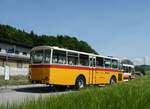 (235'687) - Gast, Reutigen - BE 113'160 - Saurer/Tscher (ex HPTrans, Thusis; ex Mauerhofer, Worb; ex Erni, Schupfart Nr.