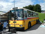 (239'137) - Toldo, Zrich - ZH 124'701 - Saurer/R&J (ex Peter, Pfaffnau) am 20. August 2022 in Wildhaus, Munzenriet