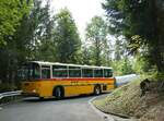 (239'839) - Schmid, Thrishaus - BE 26'206 - Saurer/Tscher (ex P 24'244) am 28.