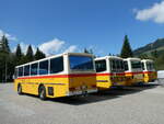 (239'858) - Roth, Zrich - SH 36'376 - Saurer/Tscher (ex Looser, Elm; ex Mattli, Wassen) am 28.