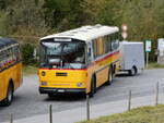 (268'052) - Schmid, Thrishaus - BE 26'206 - Saurer/Tscher (ex P 24'244) am 12.