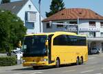 (251'433) - Aus Kroatien: Platanus, Dubrovnik - DU 669-HO - Mercedes am 13.