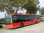 (254'392) - Unser Roter Bus, Ueckermnde - HGW-LB 316 - Iveco am 30.