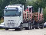 Volvo Holztransporter mit Anhänger in Binz.