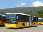 (220'831) - CarPostal Ouest - JU 65'081 - Mercedes (ex Nr.