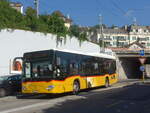 (228'077) - CarPostal Ouest - NE 113'901 - Mercedes am 18.