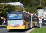 (267'812) - Eurobus, Arbon - Nr. 14/TG 239'027/PID 5330 - Mercedes am 7. Oktober 2024 beim Bahnhof Interlaken Ost