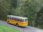 (197'762) - Frutig, Birmensdorf - ZH 560'883 - FBW/FHS (ex P 23'217) am 16.