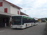 (219'324) - Knecht, Windisch - Nr.