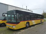 (228'156) - PostAuto Ostschweiz - (SG 304'012) - Setra am 19.