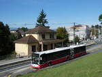 (228'833) - Intertours, Domdidier - FR 300'454 - Mercedes (ex A-Wien) am 11.