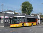 (266'316) - SB Trans, Sursee - Nr.