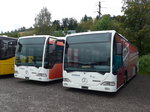 (174'616) - PostAuto Wallis - (VS 241'961) - Mercedes am 5.