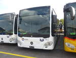(222'024) - Limmat Bus, Dietikon - (613'454) - Mercedes am 18.