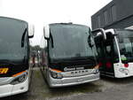 (229'336) - Genve-Tours, Genve - GE 963'359 - Setra am 16.