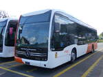 (263'700) - Globe-Limo, Le Lignon - Nr. 2149 - eMercedes am 16. Juni 2024 in Winterthur, Daimler Buses